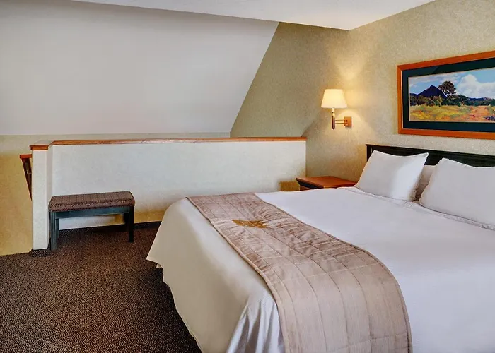 Lakeview Inns & Suites - Hinton